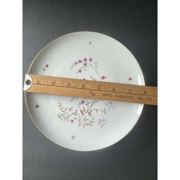 Eschenbach Bavaria Germany Clarice Baronet China Vtg. Luncheon/Salad Plate (4)
